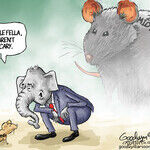 Al Goodwyn for Dec 12, 2025