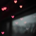 Happy Valentine's, Mr. Trump: Part II