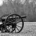 The 2020 U.S. Census: Historical Precedents and What Censuses Tell Us about Populations and Power, Past and Present: Part II