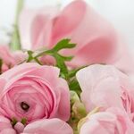 On Mother's Day 2021, the Moms Are Not All Right