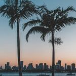 A Letter to America from Inside Florida