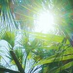 Nonnegotiable Rules for Summer