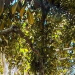 Feeling World-Weary? Sink Into Nature for a Reset