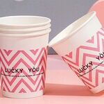 Stop Trying to Sell Me Plastic Souvenir Cups!