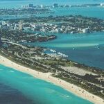 The Most Florida Movies of All Time