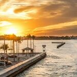 Florida Voters Are as Unpredictable as the State Itself