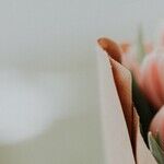 Mother's Day. It's Not for Everyone