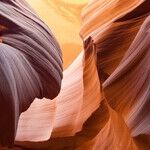 Are We Thriving in the Divide?