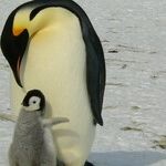 On Parenting: These 7 Things I Know for Sure
