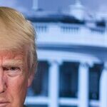 What the Assassination Attempt of Donald Trump Tells America About Gun Violence