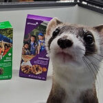 The Sweetest Way To Learn About Endangered Species? Girl Scout Cookies