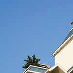 Five Ways To Beat High Housing Prices