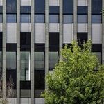 Eight Essential Tips When Dealing with City Hall