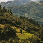 Get the Best Expert Help When Selling Vacant Land