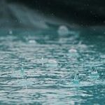First-Time Homebuyer Learns Water Is the Enemy