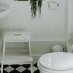 When Hidden Mold Issues Reappear