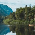 Why Do Lakefront Teardowns Need Different Selling Strategies?
