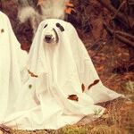 Have Yourself a Haunted Holiday