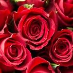 Hide and Seek Valentine