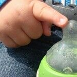 Shortage of Metabolic Formulas Driving Parents to Desperation