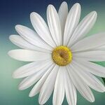 Forgive Others -- And Yourself -- For the Small Mistakes With Big Consequences