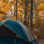 'Alone,' Camping and Heeding the Call of the Wild