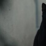 Superstitions May Be Silly, but That Doesn't Mean They're Bad