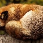 10 Lifestyle Changes That Can Improve Insomnia