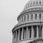Ramaswamy: A Trump Versus Trump?