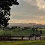 Virginia Turns Toward Trump