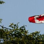 Canada Should Warm to Trump's Arctic Plans