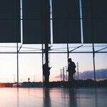 ICE Saves Lives -- and Air Travel