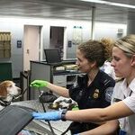 Can Border Agents Search Your Electronic Devices? It's Complicated.