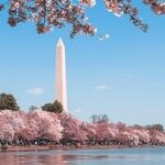One Year After Trump Deployed National Guard Troops to Washington, D.C., Statehood Is More Important Than Ever