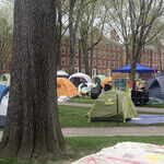 2024 Campus Protesters Are Rebooting a 1968 Show