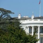 A Depraved Heart Lurks in the White House