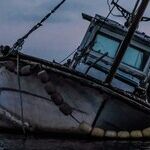 Blame, Restructure, Repeat: A Sinking Presidency