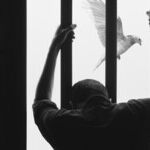 DNA Reveals Flaws in Criminal Justice System
