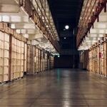 The Presidential Pardon as a Tool of Political Repression