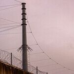 Jails and Prisons Responsible for Brunt of Mental Health Care