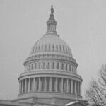 The Killings Continue