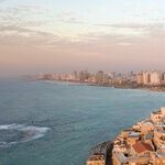 Lies, Damned Lies and the Hamas-Run Gaza Health Ministry