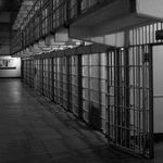 Don't Free Mahmoud Khalil