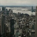 Democrats in New York City Know Who They Voted For