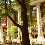 Harvard Still Wants Its D.C. Sugar Daddy