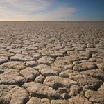 Trump Works to End California's Man-Made Drought
