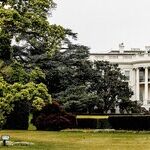 Trump is the World's Worst Dictator