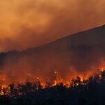 Playing With Fire: In Defense of Controlled Burns