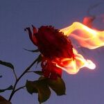 When a Crime Burns Up the Narrative