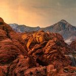 Could Nevada Become a Red State?